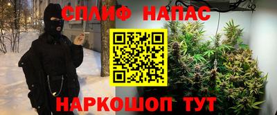 каннабис Новокубанск