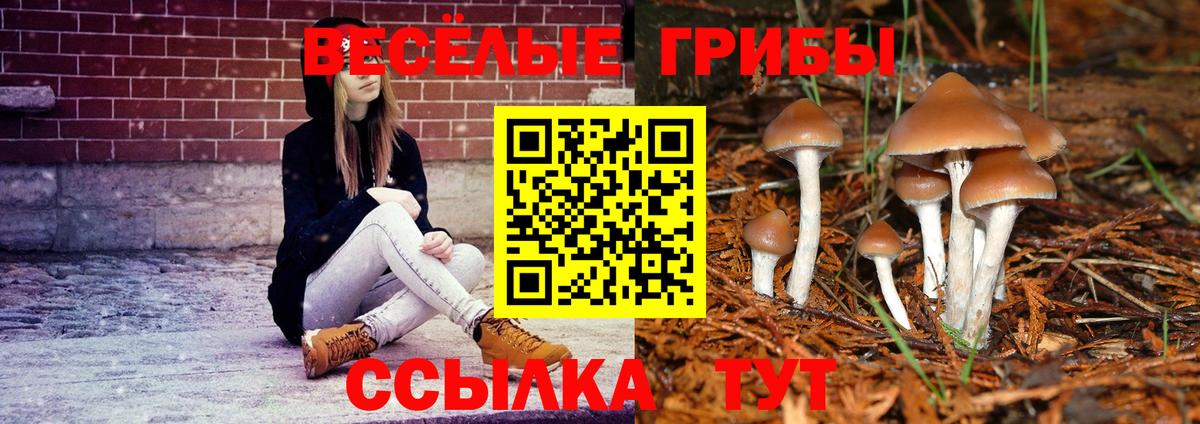 Унеча  Псилоцибиновые грибы Psilocybe  Вход с VPN 