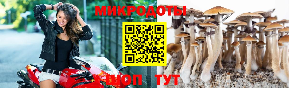 Галлюциногенные грибы Cubensis Унеча